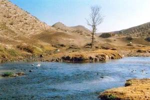 طبیعی