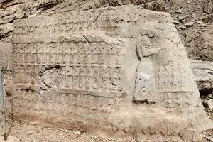 کول فرح