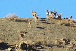 wildlife refuge