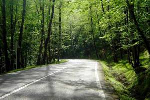Ramsar