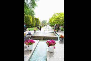 Flower Garden