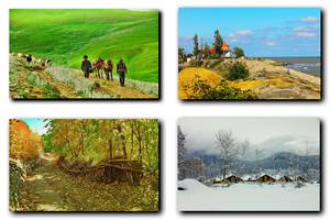 Seasons