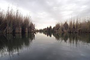 Natural National Point