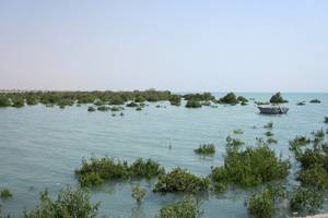 Qeshm Wetland