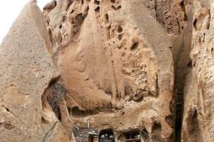 Toral Rocky