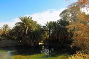 چشمه دیگ رستم